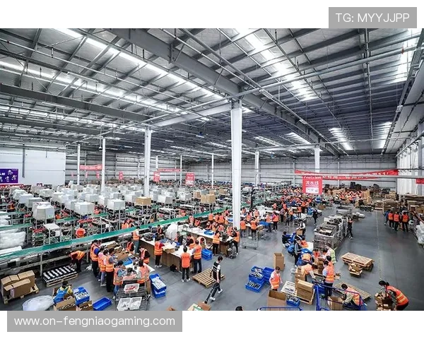 定制化保险产品覆盖后勤风险 赛事取消成本转移至第三方